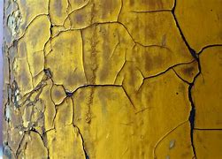 Image result for Easy Cracked Photo
