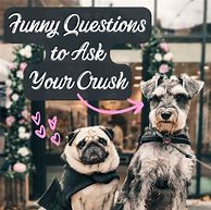 Image result for Fun Questions to Ask Your Crush