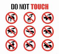 Image result for Don't Touch Animals