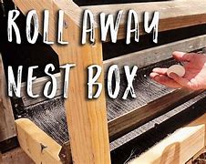 Image result for DIY Roll Away Chicken Nesting Boxes