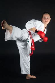 Image result for Martial Arts Kick Face Woman