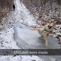 Image result for Mistakes Were Made Meme