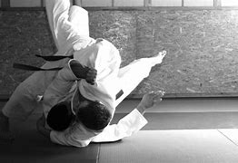 Image result for American Jiu Jitsu