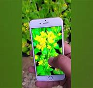 Image result for Images Taken with iPhone 6s Camera