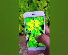 Image result for iPhone 6s with Camera in the Middle