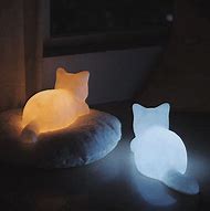 Image result for Glow Cat Night Lamp Meme
