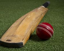 Image result for Cricket Bat in Australia