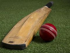 Image result for Cricket Bat Skin Damage