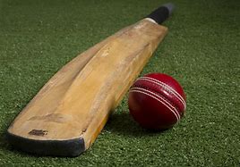 Image result for Curve Cricket Bat