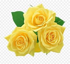 Image result for iPhone Yellow Flower Emoji