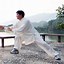 Image result for Wu Style Tai Chi 12 Form Names of Movies