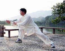 Image result for Wu Tai Chi Forms