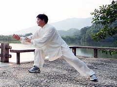 Image result for Wu Style Tai Chi Stances