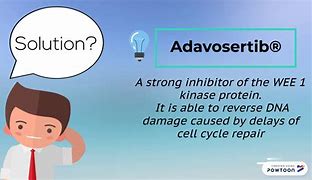 Image result for advedbio
