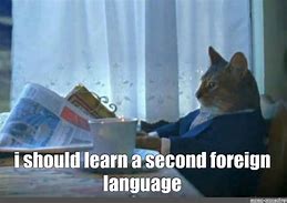 Image result for Cat Looking at Newspaper Meme