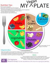 Image result for Vegan Plate Template