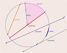 Image result for Circunferencia