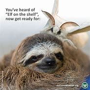 Image result for Tuesday Sloth Meme