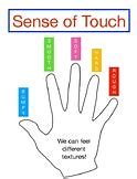 Image result for Sense of Touch Activity