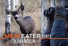 Image result for Meat Eater Episodes Elk