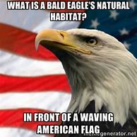 Image result for Memes of American Flag and Eagle