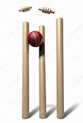 Image result for Types of Wickets