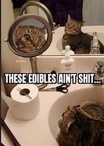 Image result for Twisted Humor Sarcastic Memes