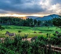 Image result for Swaziland Land