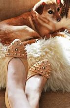 Image result for Givenchy Dog Shoes