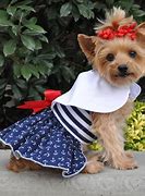 Image result for Dog Clothes