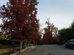 Image result for 13601 Saratoga Ave., Saratoga, CA 95070 United States
