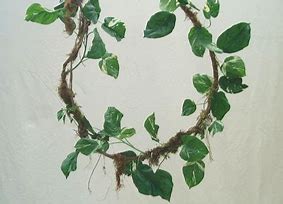 Image result for Artificial Jungle Vines