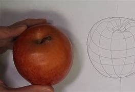 Image result for How to Draw an Apple Contour