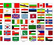 Image result for Kinds of Flags