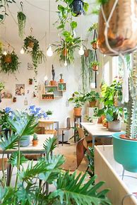 Image result for Living Room Decor Apartment Plants