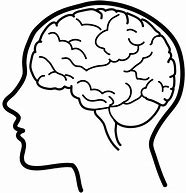 Image result for Head and Brain Clip Art