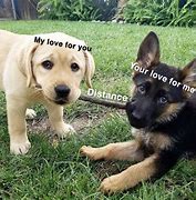 Image result for Long Distance Wholesome Meme