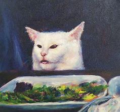 Image result for Cat Meme Collage