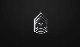 Image result for Seac Insignia