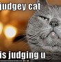 Image result for Funny Cat Memes About Work