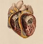 Image result for Heart Drawing Book