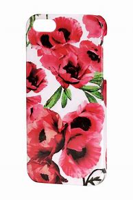 Image result for iPhone 5s Case