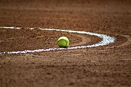 Image result for Washoe Little League Softball Teams