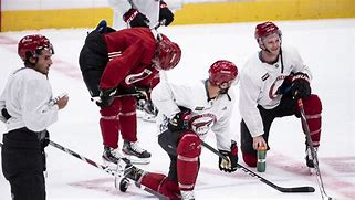 Image result for NHL approves Coyotes sale