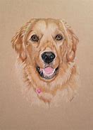 Image result for Painting Dogs in Colored Pencil