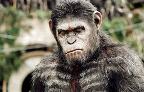 Image result for Pics of Caesar From Planet of the Apes