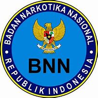 Image result for BNN Icon Transparent Background