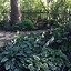 Image result for Small Shade Garden Ideas