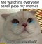 Image result for Crying Cat Syndrome Meme