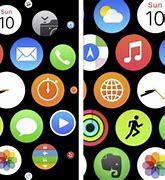 Image result for Apple Watch Settings Icon